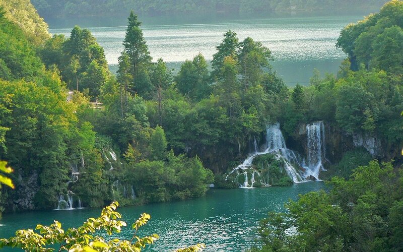 Waterfalls in Forest — Green, Serene, Afternoon, Photograph, Trees, Lake