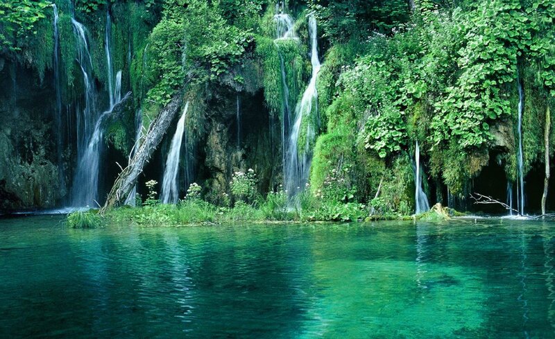 Waterfalls in Forest — Green, Serene, Afternoon, Photograph, Trees, River, Moss, Fallen Tree
