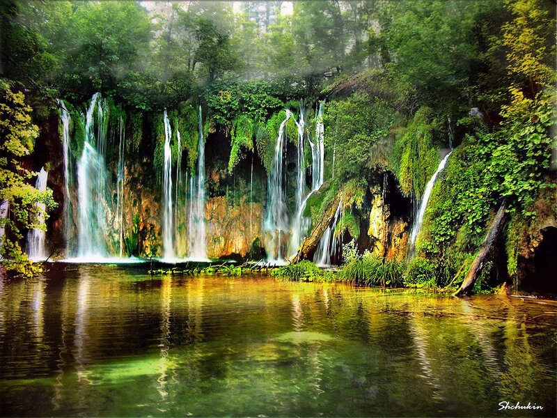 Waterfalls in Forest — Green, Serene, Afternoon, Photograph, Trees, River, Moss