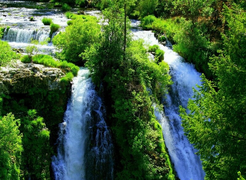 Waterfalls in Forest — Green, Serene, Afternoon, Photograph, Trees, River, Rocks