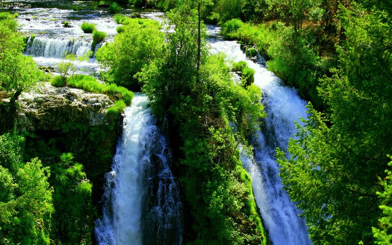 Waterfalls in Forest — Green, Serene, Afternoon, Photograph, Trees, River, Rocks, White
