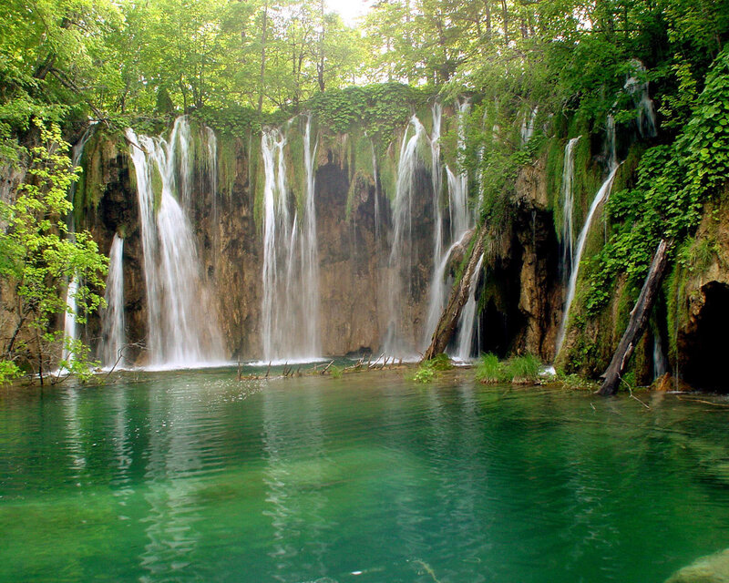 Waterfalls in Forest — Green, Serene, Afternoon, Photograph, Trees, Rock, Pool, Fallen Log