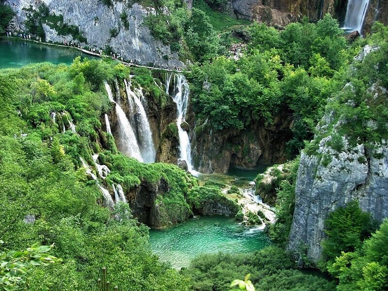 Waterfalls in Forest — Green, Serene, Afternoon, Photograph, Trees, Rocks