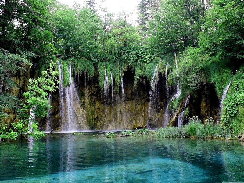 Waterfalls in Forest — Green, Serene, Afternoon