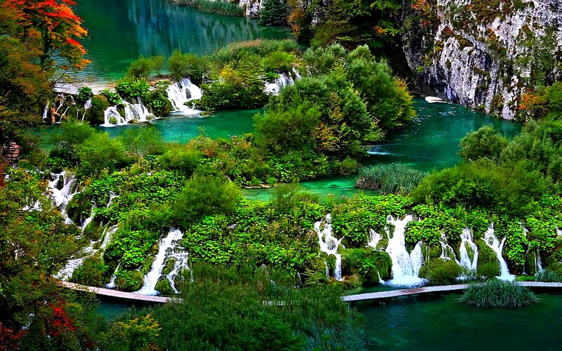 Waterfalls in Forest — Green, Serene, Autumn, Photograph, Trees, Lakes
