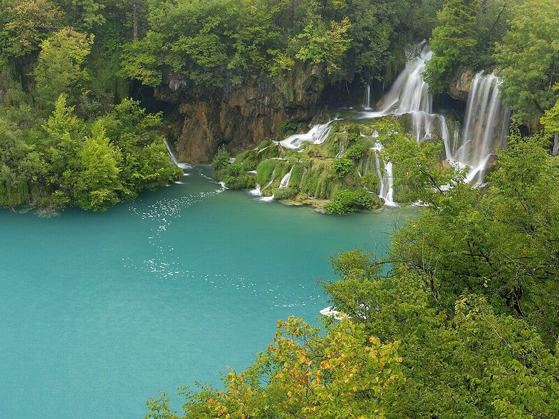 Waterfalls in Forest — Green, Serene, Photograph, Trees, River