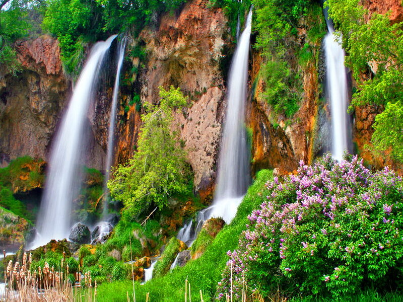 Waterfalls in Forest — Green, Serene, Spring, Photograph