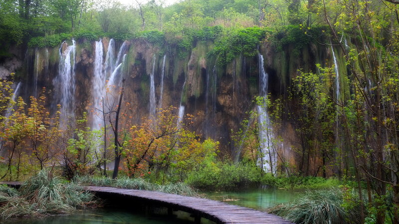 Waterfalls in Forest — Green, Serene, Spring, Photograph, Trees, Bridge