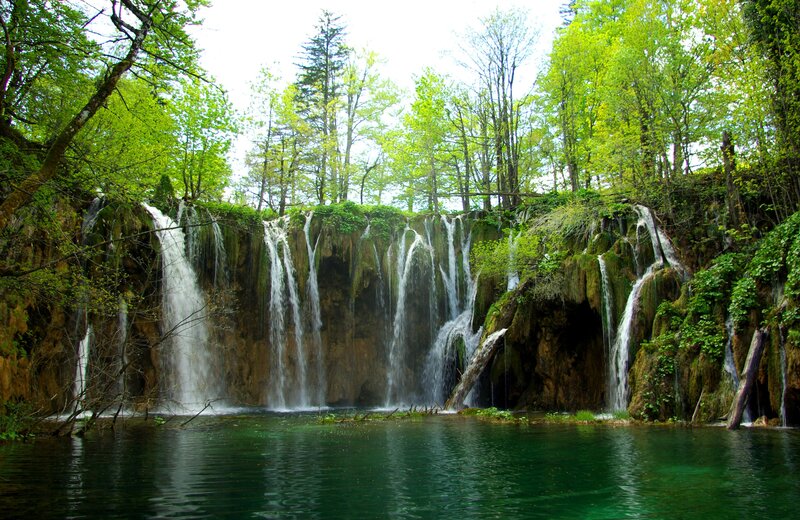 Waterfalls in Forest — Green, Serene, Spring, Photograph, Trees, River