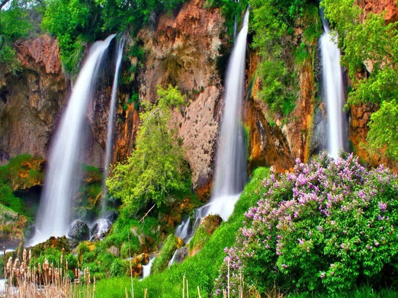 Waterfalls in Forest — Green, Serene, Spring, Photograph, Trees