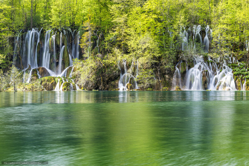 Waterfalls in Forest — Green, Serene, Summer, Photograph, Trees, River, Rock
