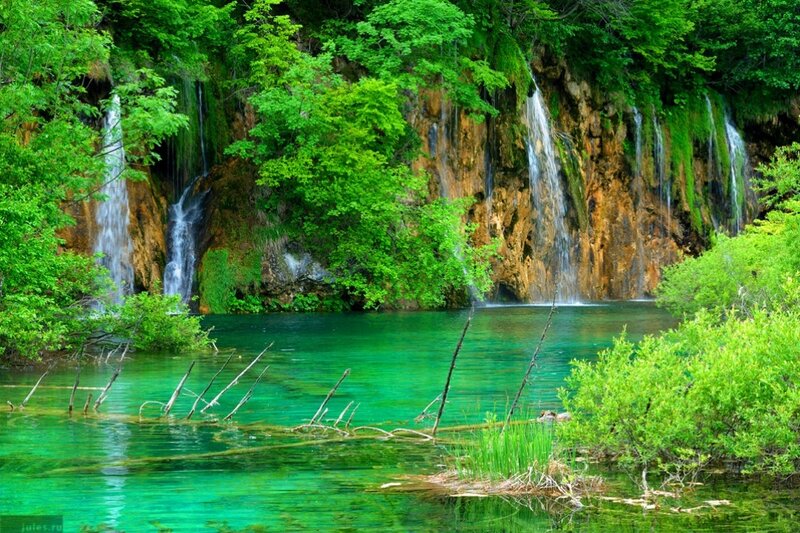 Waterfalls in Forest — Green, Serene, Summer