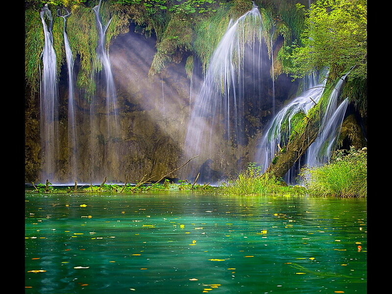 Waterfalls in Forest — Green