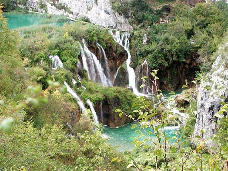 Waterfalls in Forest
