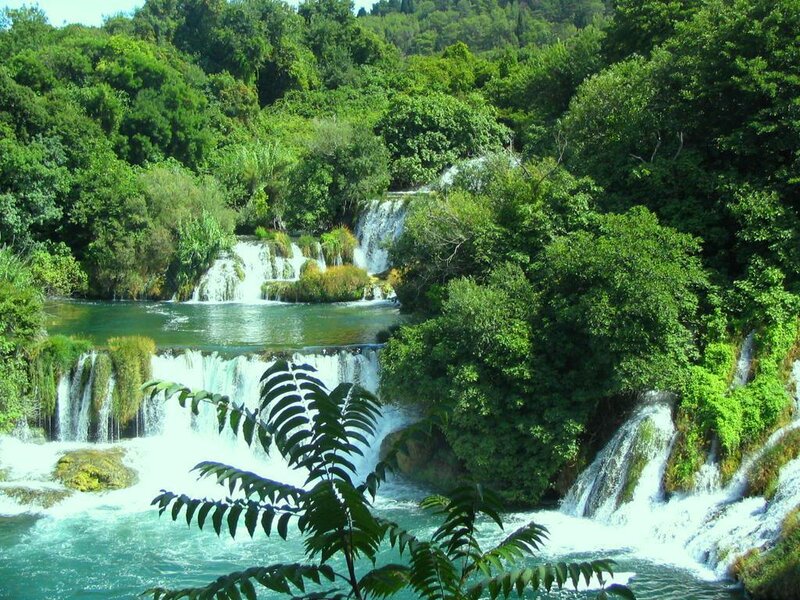 Waterfalls in Forest — White