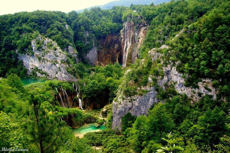 Waterfalls in Forested Canyon