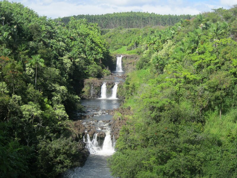 Waterfalls in Jungle — Green, Serene