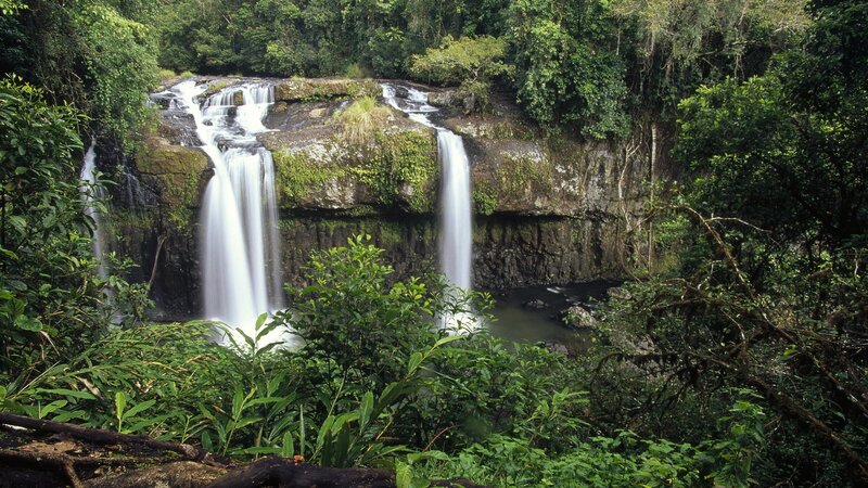 Waterfalls in lush forest