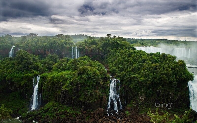 Waterfalls in lush forest