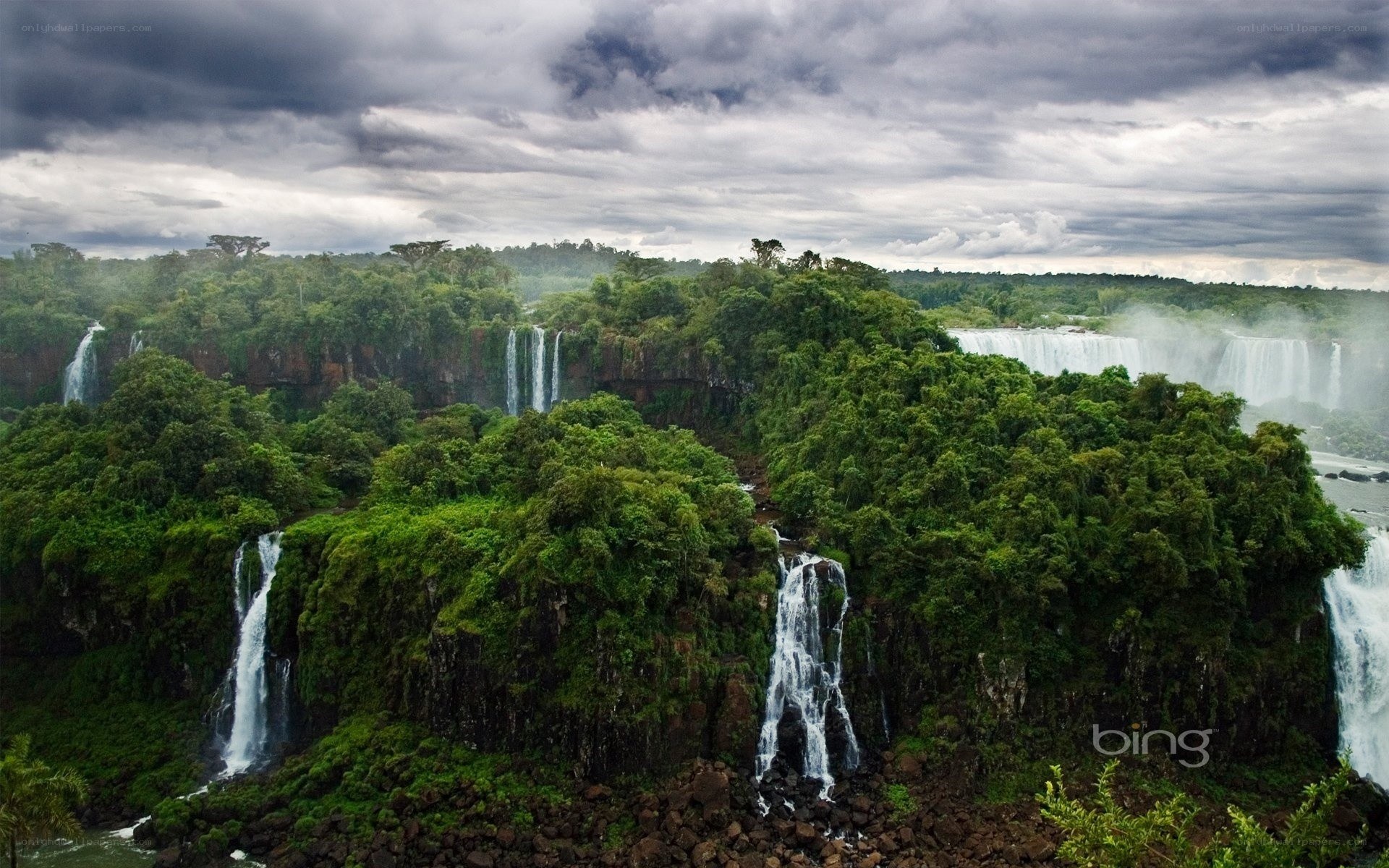 Waterfalls in lush forest