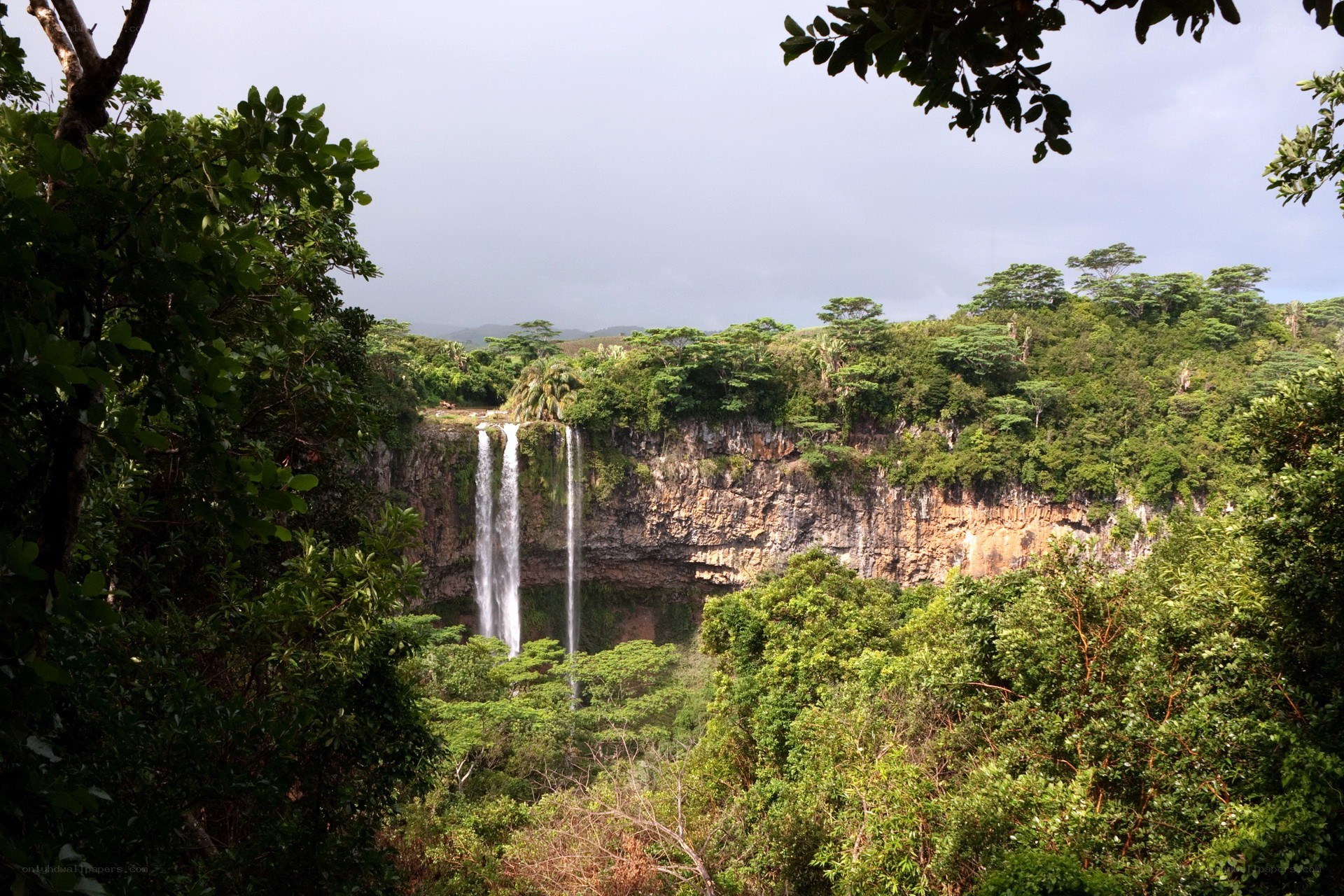Waterfalls in lush forest