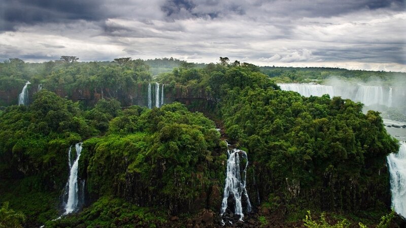 Waterfalls in lush forest