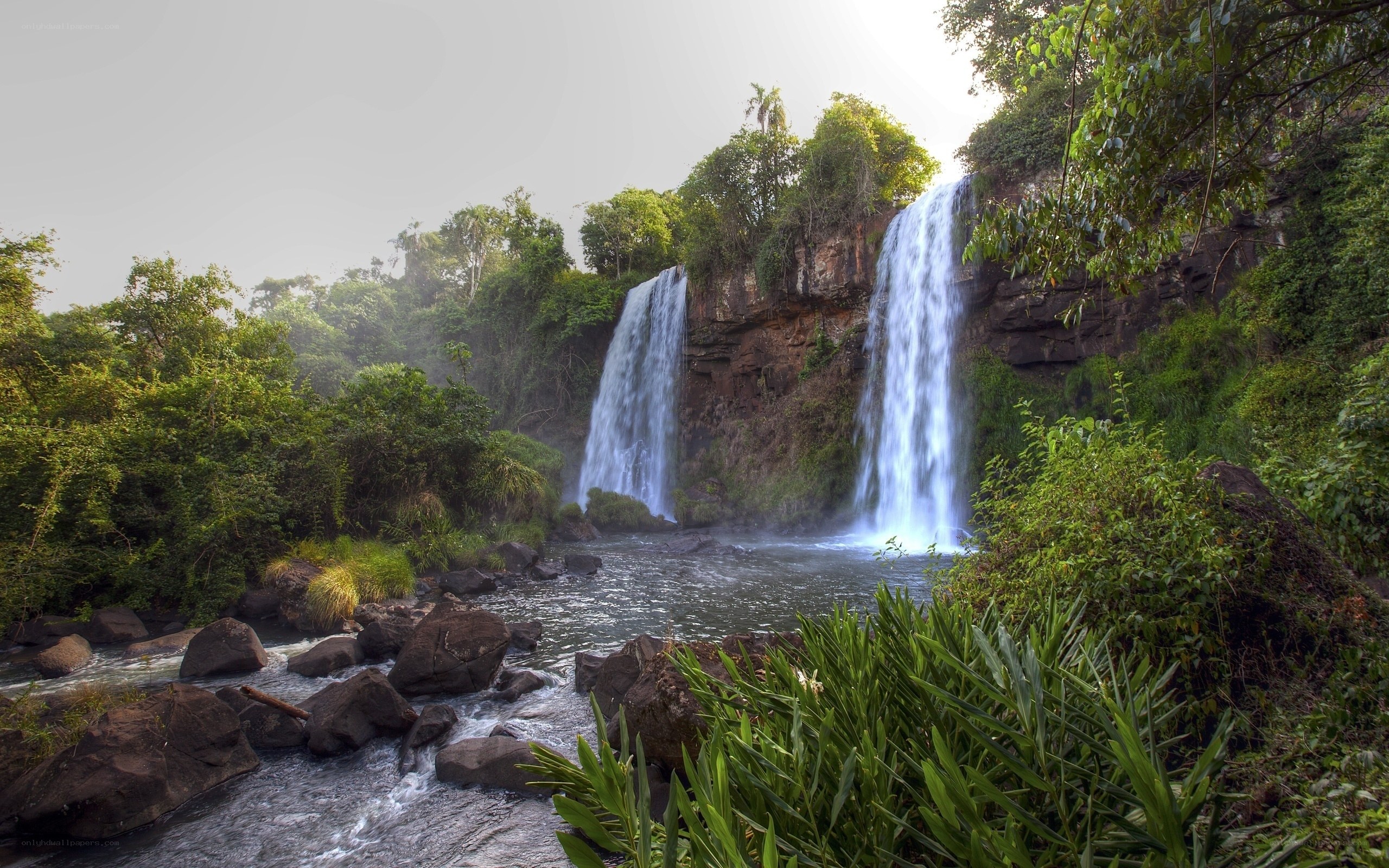 Waterfalls in lush forest