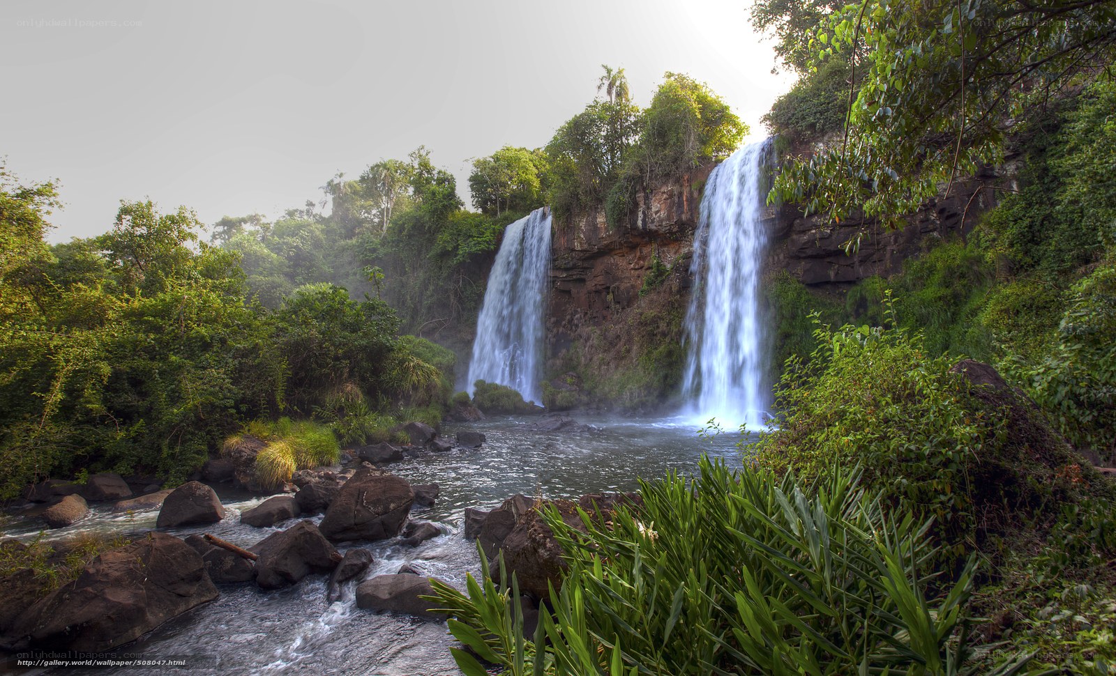 Waterfalls in lush forest