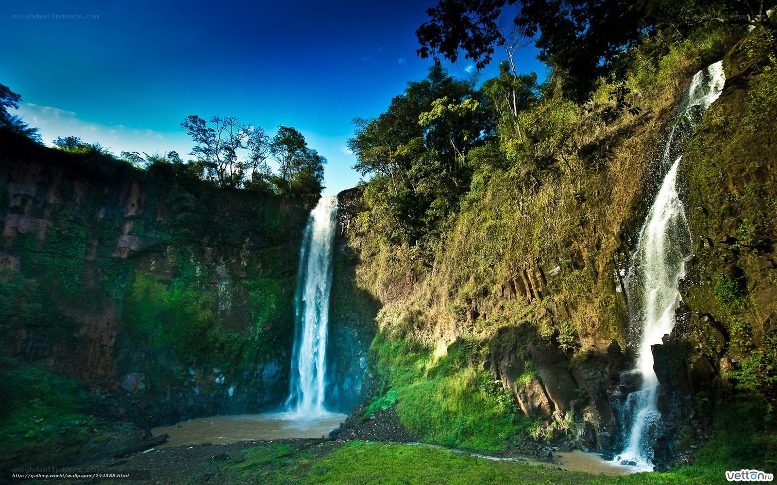 Waterfalls in lush forest