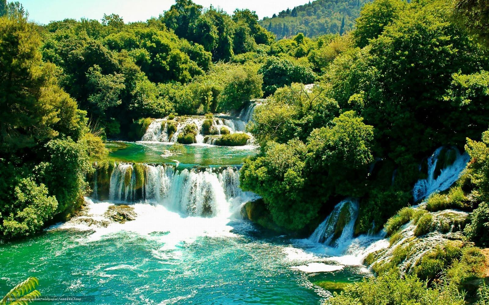 Waterfalls in lush green forest
