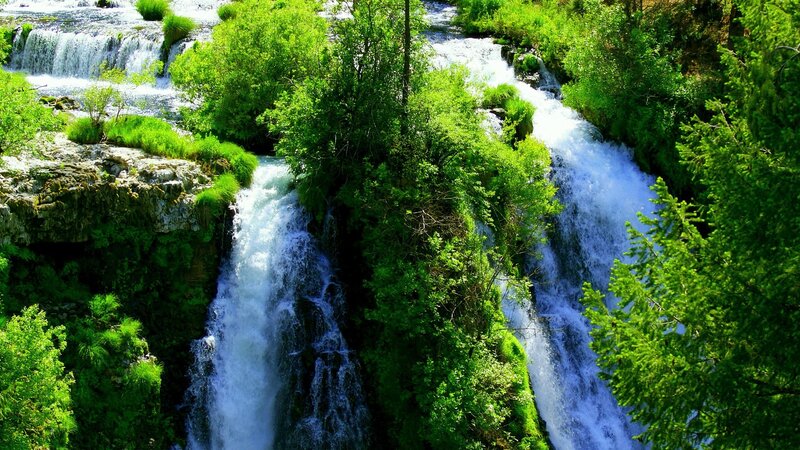 Waterfalls in lush green forest