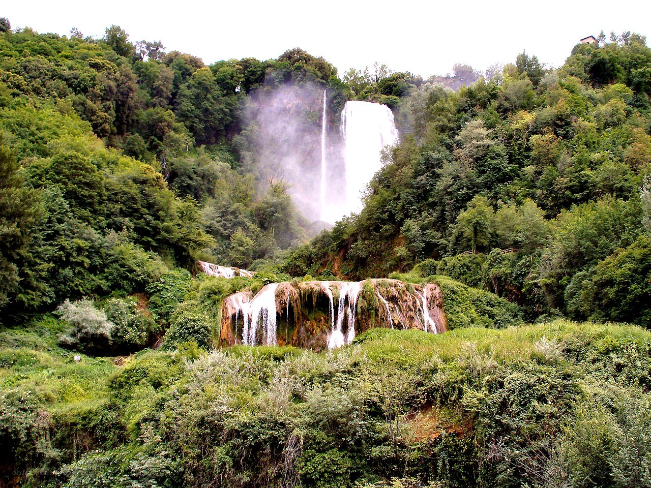 Waterfalls in lush green forest