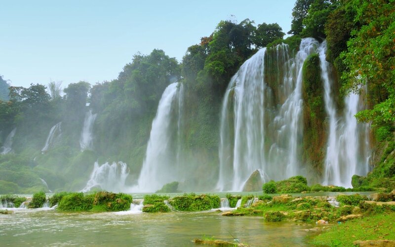 Waterfalls in lush green forest
