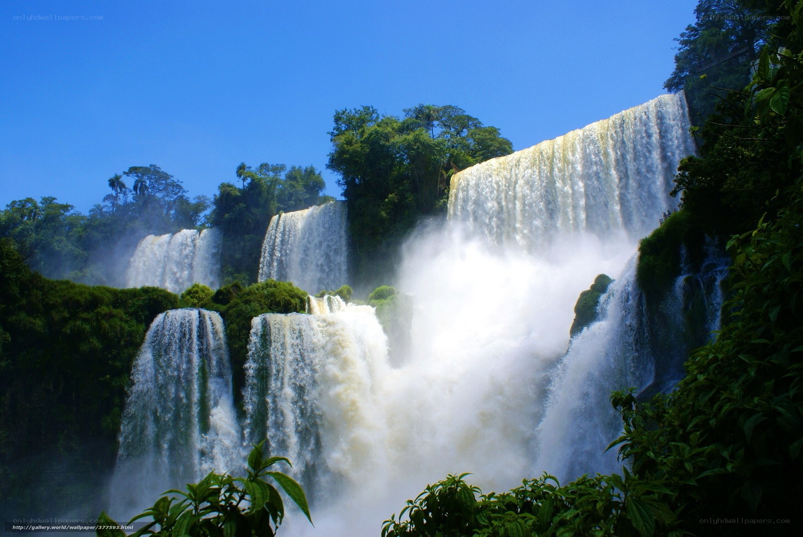 Waterfalls in lush green forest