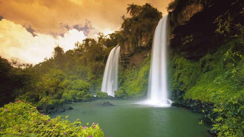 Waterfalls in lush jungle