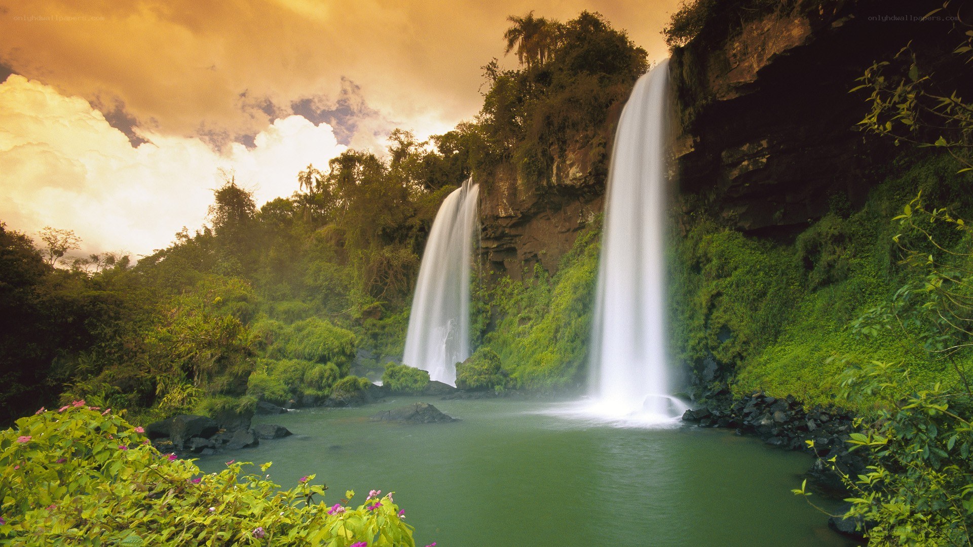 Waterfalls in lush jungle