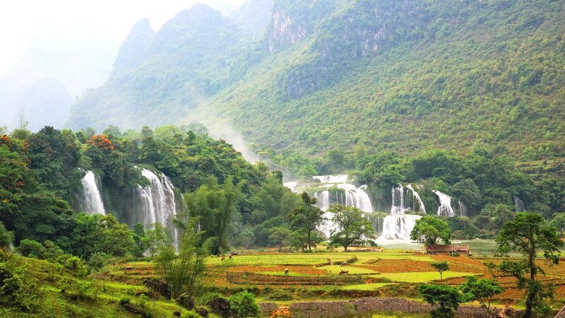 Waterfalls in Mountain Valley — Green, Serene