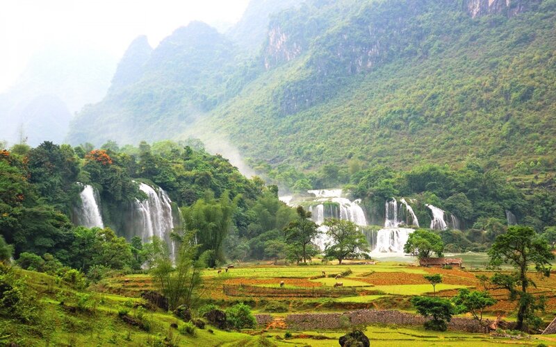 Waterfalls in Mountain Valley — Green