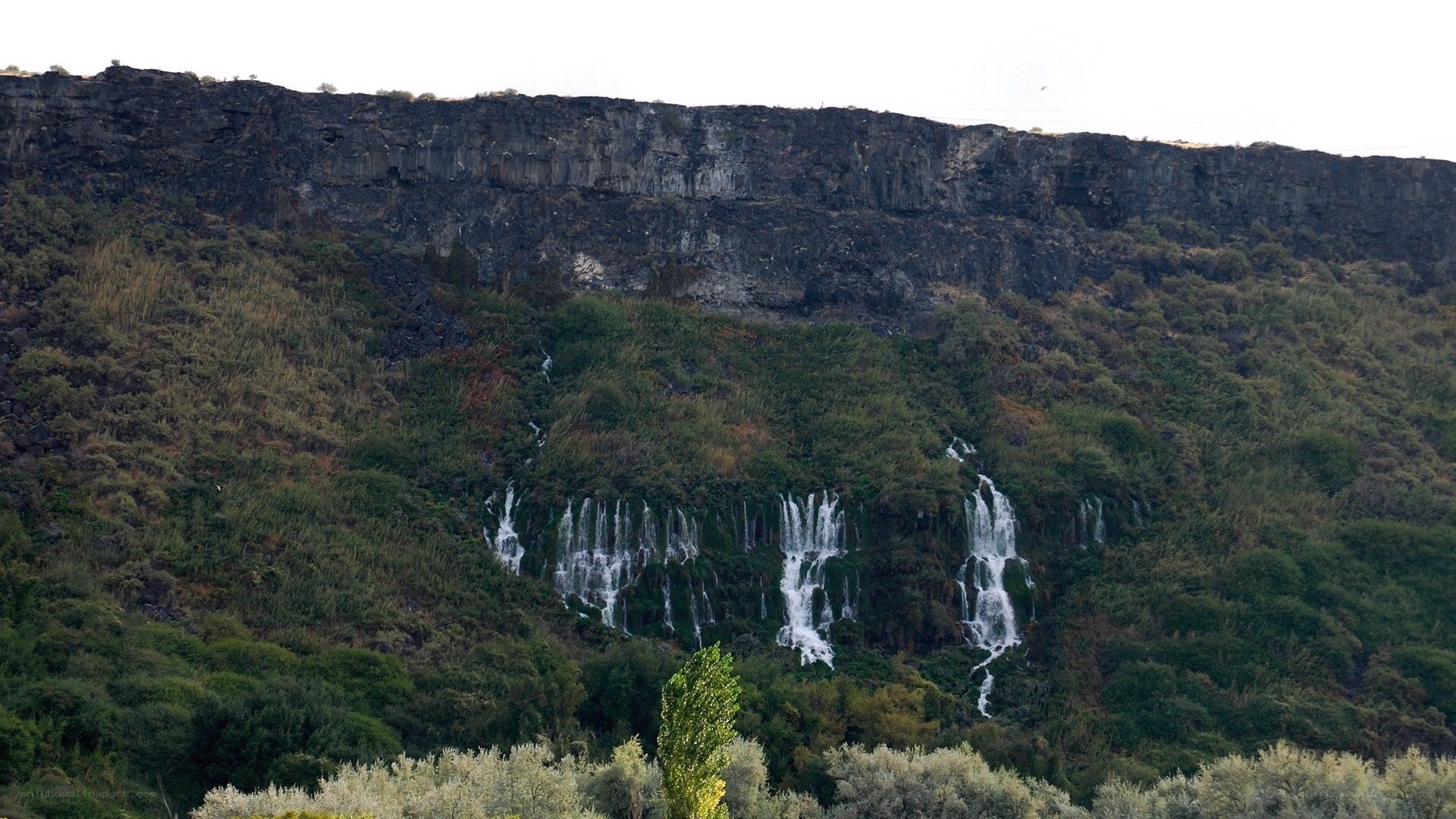 Waterfalls on a rocky cliff