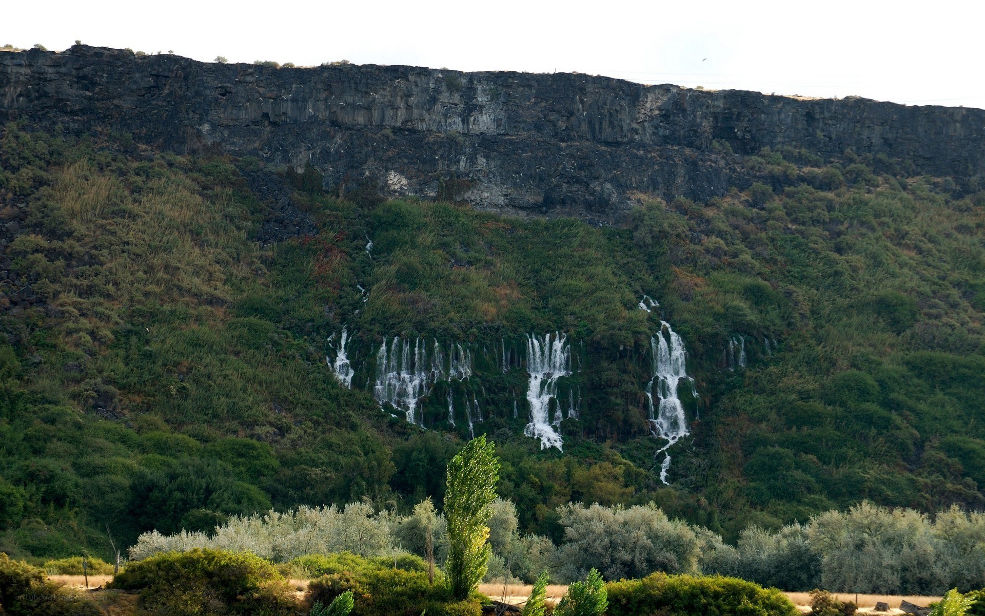 Waterfalls on a rocky cliff