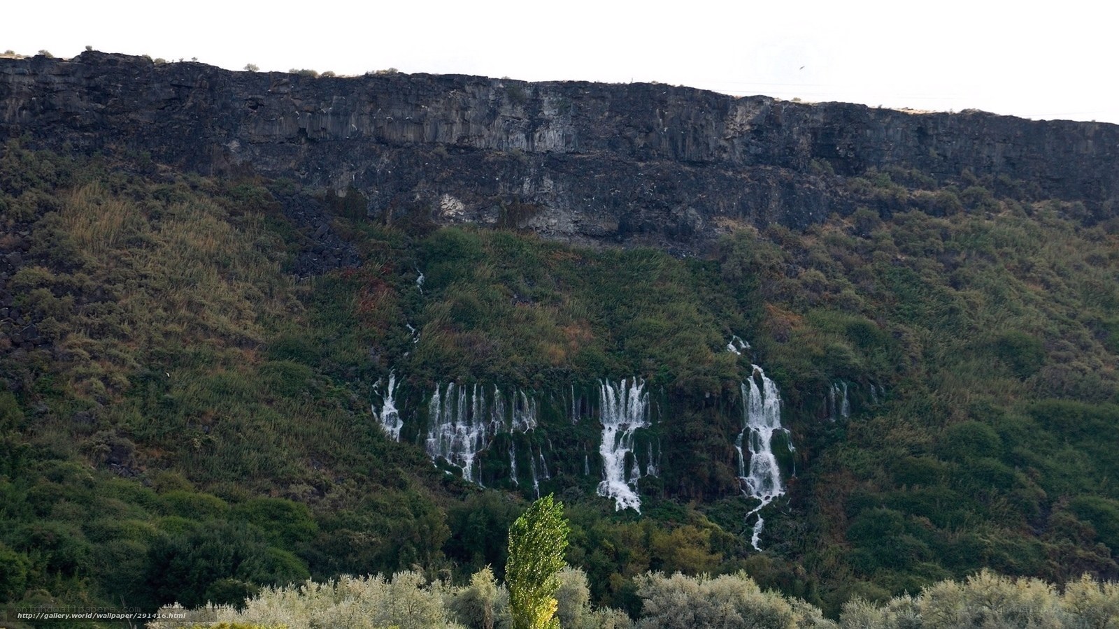 Waterfalls on a rocky cliff