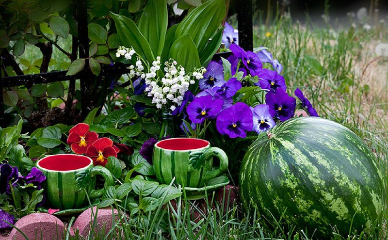 Watermelon and Cups in Garden