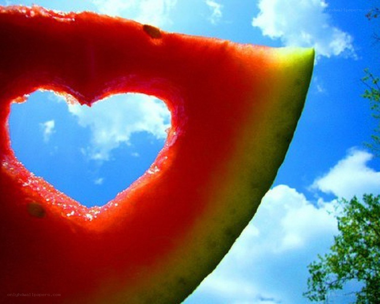 Watermelon heart cutout