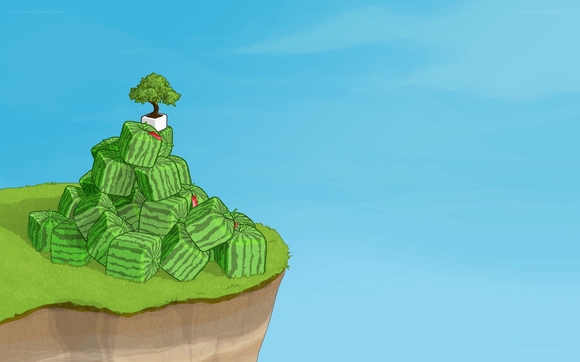 Watermelon hill with bonsai tree
