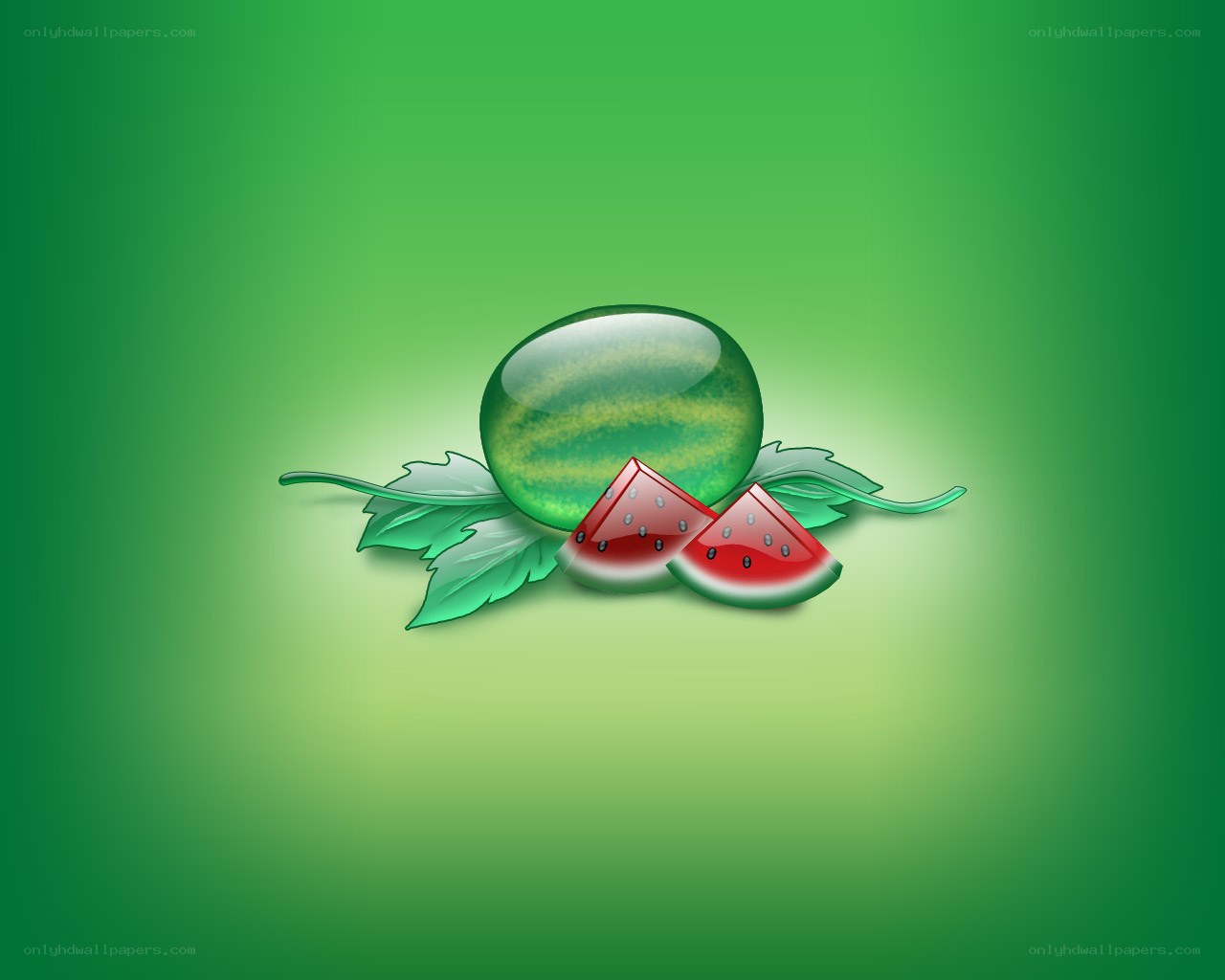 Watermelon illustration