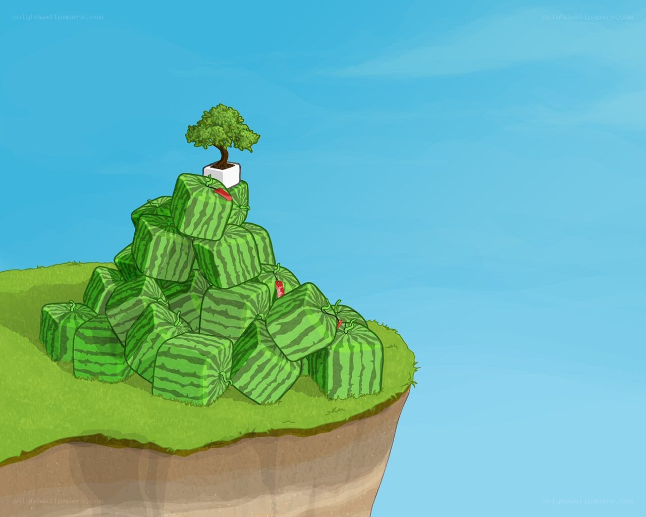 Watermelon mountain with bonsai tree