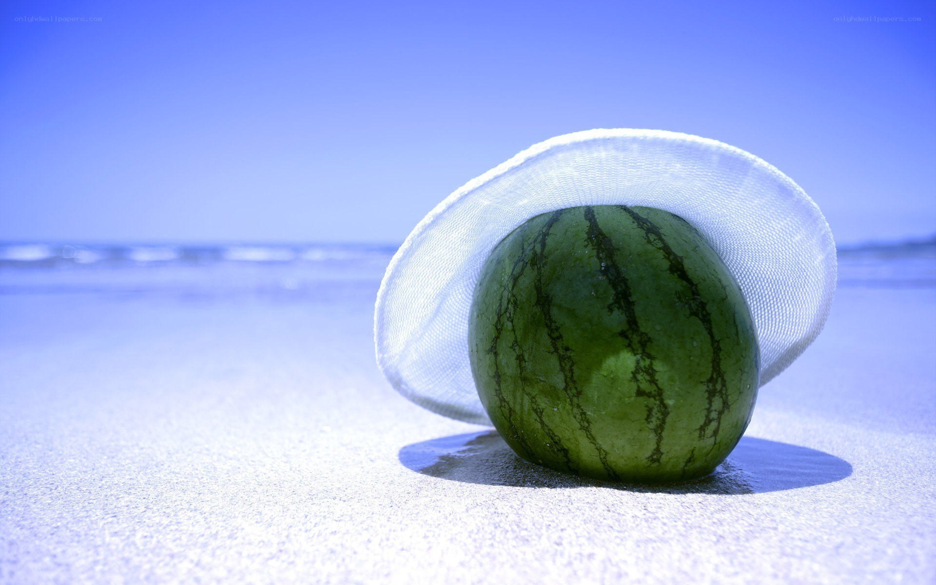 Watermelon on the beach