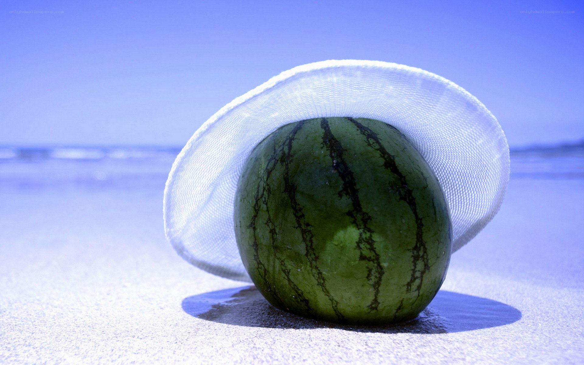 Watermelon on the beach