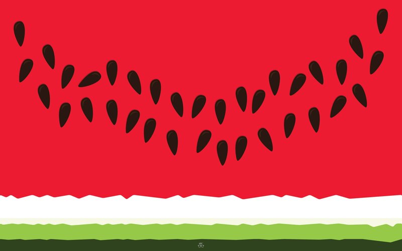 Watermelon slice illustration