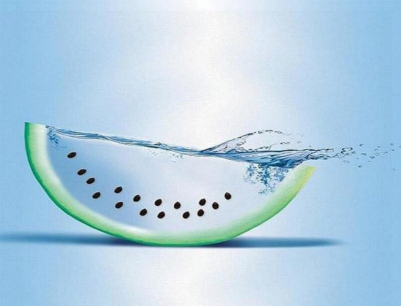 Watermelon slice in water